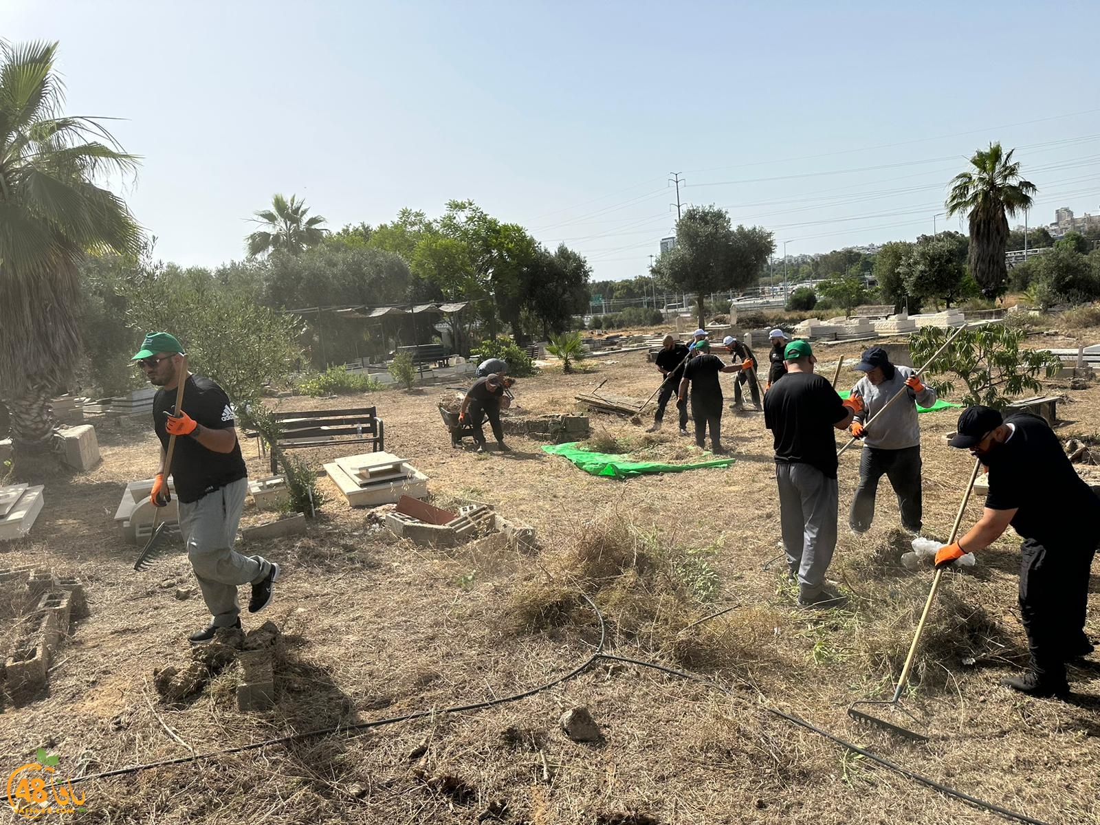 WhatsApp Image 2023-06-17 at 3.39.04 PM (4).jpeg